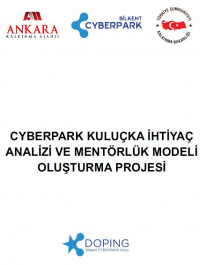 CYBERPARK Kuluçka İhtiyaç Analizi ve Mentörlük Modeli Oluşturma Projesi
