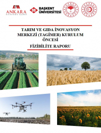Tarım ve Gıda İnovasyon Merkezi (Tagimer) Kurulum Öncesi Fizibilite Raporu