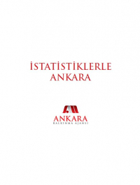 İstatistiklerle Ankara 2010 