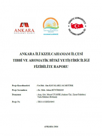 Ankara İli Kızılcahamam İlçesi Tıbbi ve Aromatik Bitki Yetiştiriliciliği Fizibilite Raporu