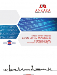 Küresel Rekabet Sürecinde Ankara Yazılım Sektörünün Önemi Potansiyeli ve Politika Arayışları