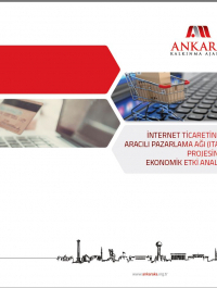 İnternet Ticaretinde Aracılı Pazarlama Ağı (ITAP) Projesinin Ekonomik Etki Analizi