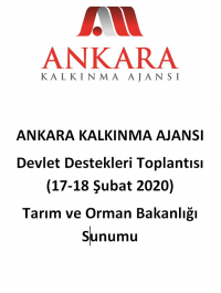 Ankara Kalkınma Ajansı 17-18 Şubat 2020 Devlet Destekleri Toplantısı- Tarım ve Orman Bakanlığı Sunumu