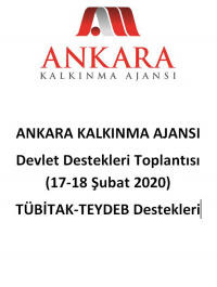 Ankara Kalkınma Ajansı 17-18 Şubat 2020 Devlet Destekleri Toplantısı- TÜBİTAK-TEYDEB Destekleri