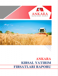 Ankara Kırsal Yatırım Fırsatları  Raporu