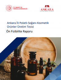 Ankara İli Polatlı Soğanı Kozmetik Ürünler Üretim Tesisi Ön Fizibilite Raporu