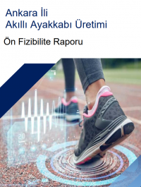 Ankara İli  Akıllı Ayakkabı  Üretimi Ön Fizibilite Raporu