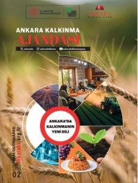 Ankara Kalkınma Ajandası E-Bülteni 2. Sayı