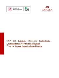 2019 Yılı Kırsalda Ekonomik Faaliyetlerin Çeşitlendirmesi Mali Destek Programı Program Sonrası Değerlendirme Raporu