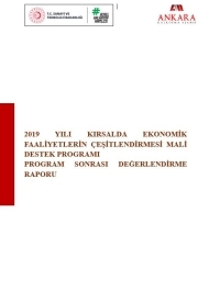 2019 Yılı Kırsalda Ekonomik Faaliyetlerin Çeşitlendirmesi Mali Destek Programı Program Sonrası Değerlendirme Raporu