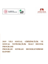 2019 Yılı Sosyal Girişimcilik Ve Sosyal Yenilikçilik Mali Destek Programı Program Sonrası Değerlendirme Raporu