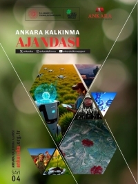 Ankara Kalkınma Ajandası E-Bülteni 4. Sayı