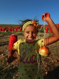 8.Fotoğraf Yarışması Ankara'nın Coğrafi İşaretli Ürünleri 
